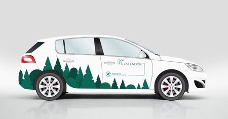 Lasy Państwowe szukają aut elektrycznych. Oto 5 modeli, które spełniają ich wymagania