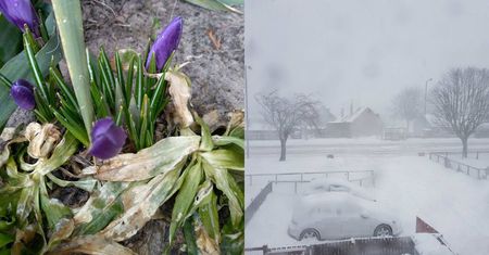 To ostatni atak zimy w tym roku. Internauci podesłali nam zdjęcia