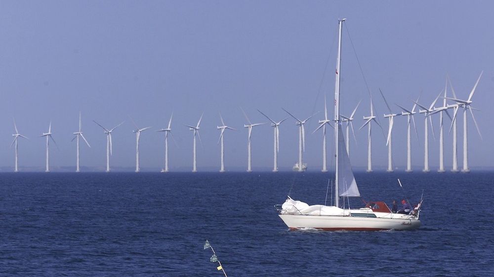 Polski rząd marzy o morskich farmach na podobieństwo tych w okolicach Kopenhagi. 