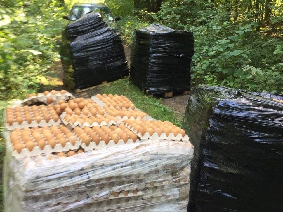 Olsztyn. Leśnicy znaleźli 4 palety jajek w lesie