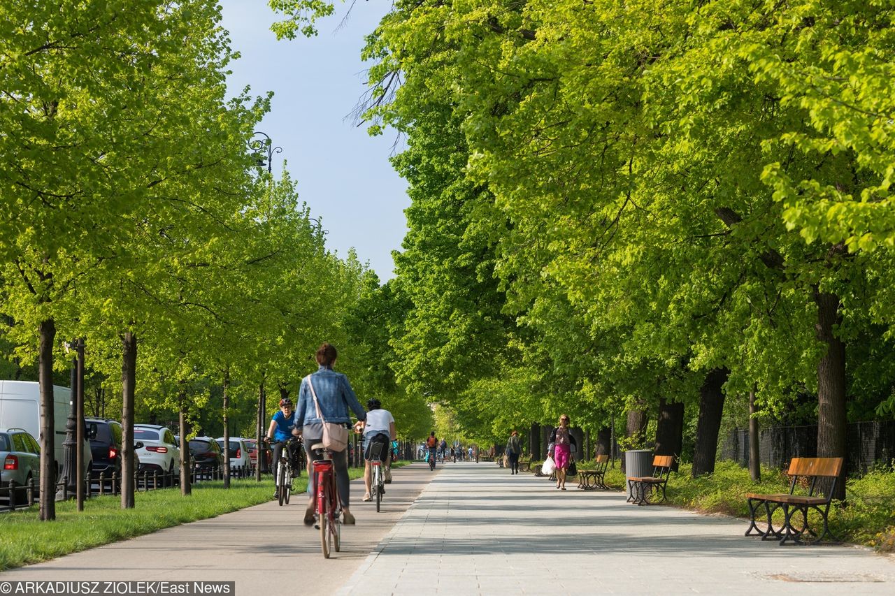 Trzaskowski obiecuje rozbudowę ścieżek rowerowych do ponad 800 km. "Plany są ambitne"