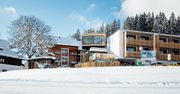 Skandynawski azyl w Austrii. Widok z okna rzuca na kolana