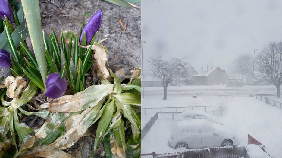 Zima w Polsce na waszych zdjęciach. Piękna, ale mogłaby się już skończyć
