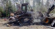 Spalili leśne maszyny. Sprawcy z "Zielonego Frontu" poszukiwani