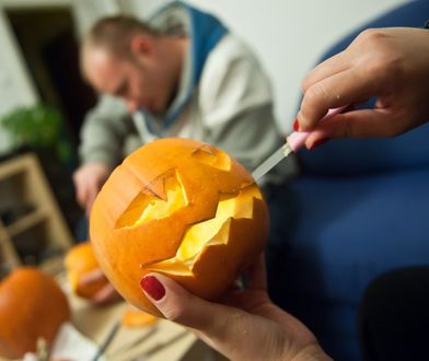 Halloween nakręca plantatorów. Zbiory dyni ostro w górę. Największa ważyła 870 kg