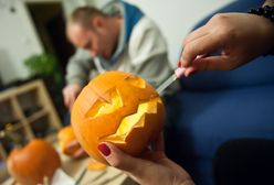 Halloween nakręca plantatorów. Zbiory dyni ostro w górę. Największa ważyła 870 kg