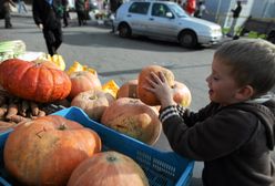 Politycy PiS chcą zakazać Halloween w szkołach. "Te dynie są przerażające"