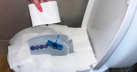 Przed skorzystaniem z toalety obkładasz deskę papierem? Tak przyciągasz do siebie bakterie