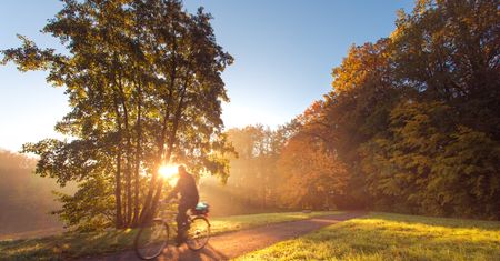 Lubelskie. Rowerzysta znalazł łup w rowie. Teraz grozi mu więzienie