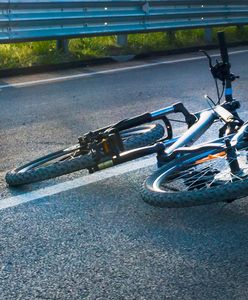 Rowerzysta przewrócił się na rowerze. W przypływie złości kopnął psa i wyjął rewolwer