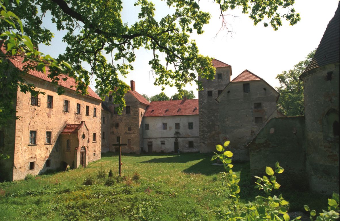 Obraz