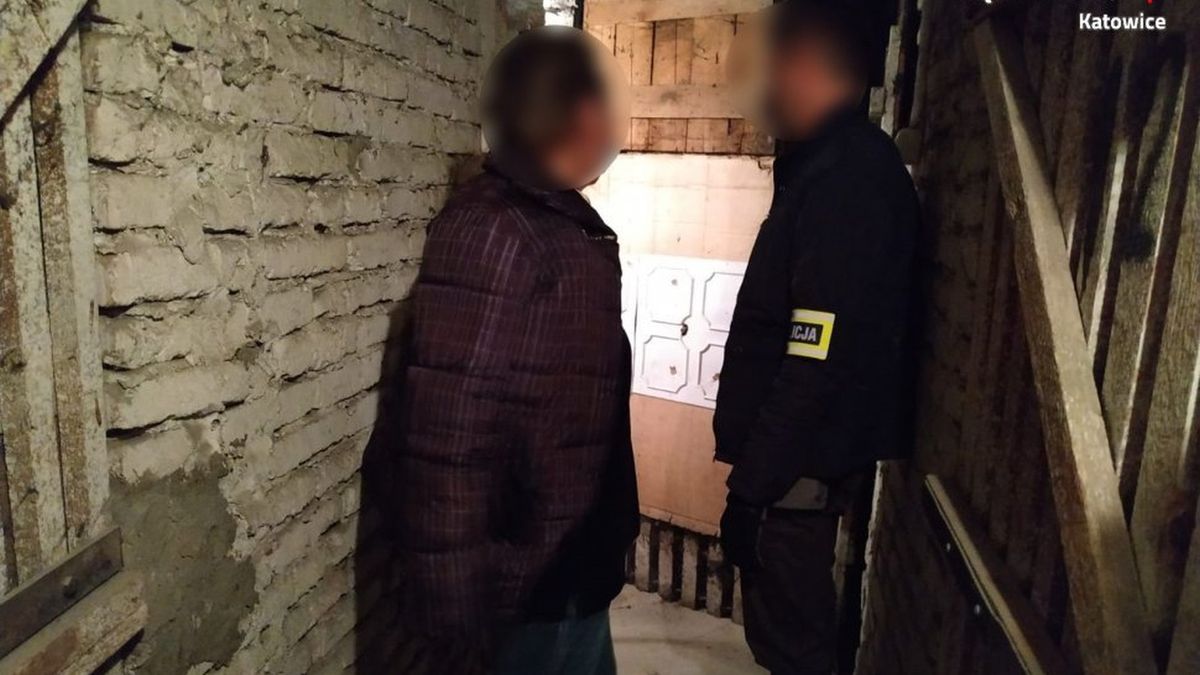 Student Uniwersytetu Śląskiego nękał koleżanki i groził im w Internecie. Pomagała mu matka.