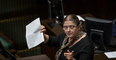 Lubnauer poniesie karę? Pawłowicz przypomina, że słowa posłanki podlegają ustawie o IPN