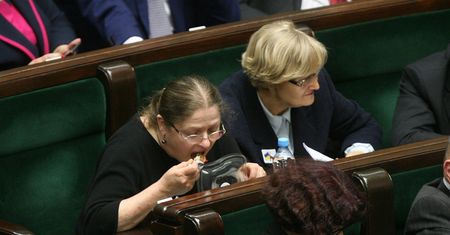 Grzegorz Wysocki: Dlaczego chcę karmić Krystynę Pawłowicz? Rzecz o głodzeniu trolli