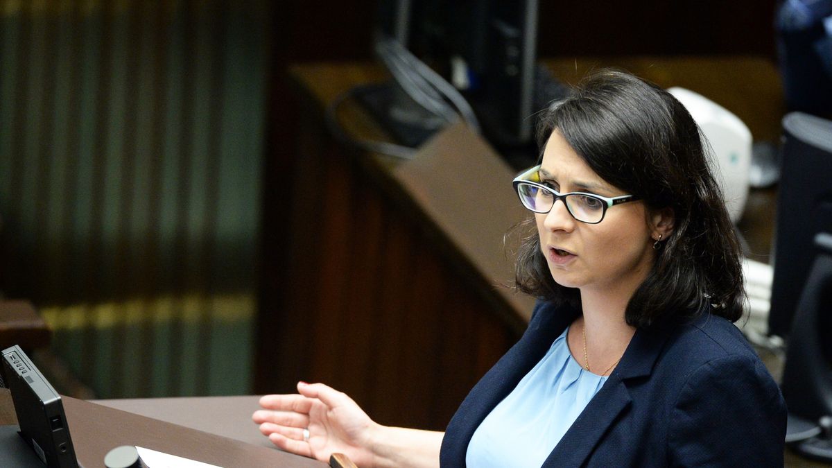 Posłowie postanowili, że nie rozpatrzą projektu Nowoczesnej w sprawie wolnych niedziel