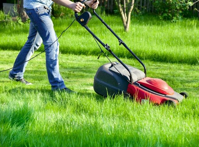 Zapach koszonej trawy na rozluźnienie