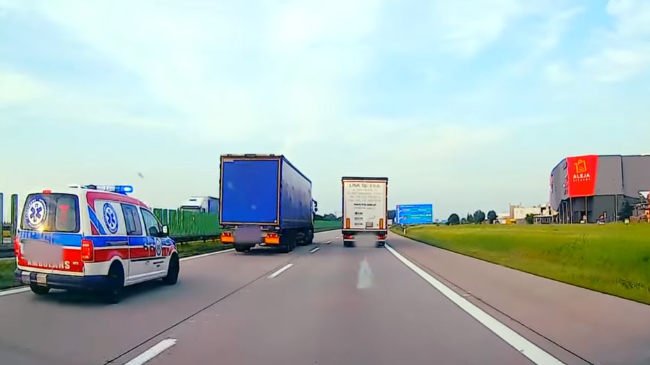 Źródło: zrzut ekranu YouTube / Dziki Kraj w Full HD