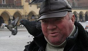 "Gołębie nie przenoszą H5N1, ale inne groźne choroby"