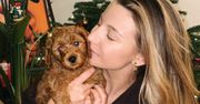 Julia Wieniawa i jej piesek są nierozłączni. Nie uwierzycie, dokąd zabrała szczeniaka. Bowie już zawitał na salony