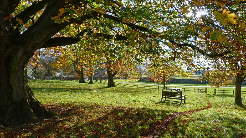 To będzie wymarzony dzień na wyprawę po kasztany