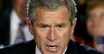 Bush: „wolność warta walki”