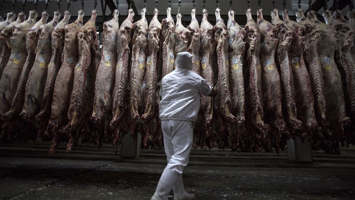 Czeskie sankcje na polskie mięso obowiązują od 21 lutego.