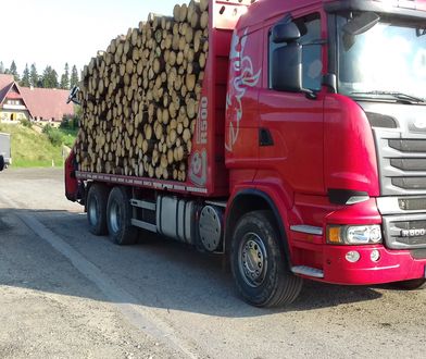 Mandaty na nich nie działają. Czekają, aż ktoś zginie