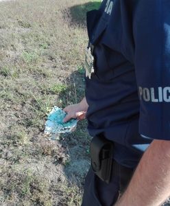 1,5 tys. zł leżało na ulicy Wrocławia. Szukają właściciela