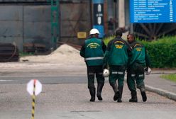 Akcja ratunkowa w "Zofiówce". Psy podjęły trop