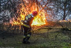 Majówka zagrożona. Możliwe zakazy wstępu do lasów