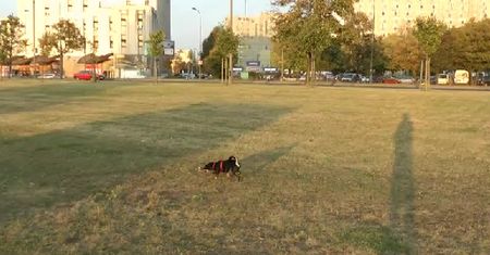 Dniówka 6.10.11 na spacerze