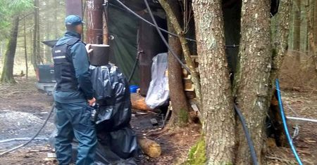 Akcja służb w lesie na Podlasiu. "Nowa fabryka"