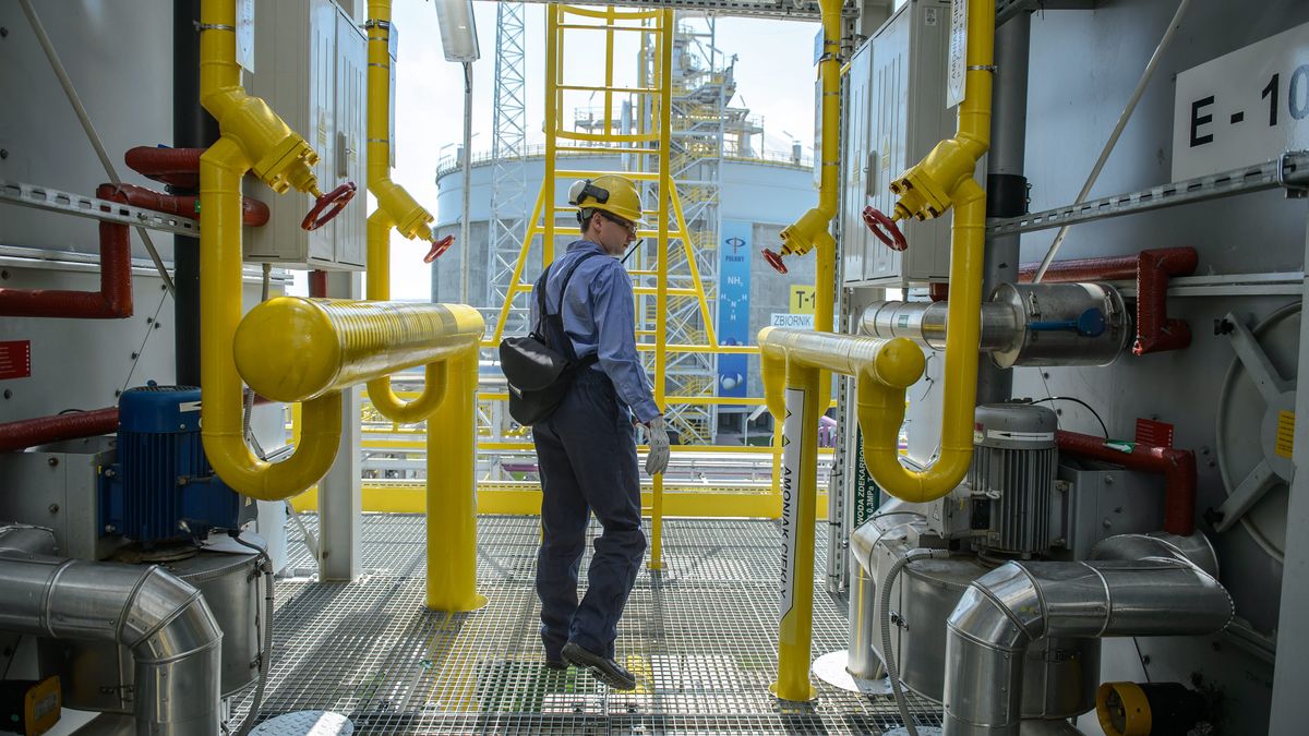 Projekt specustawy grupuje pracodawców na dwie kategorie. Pierwsza to przedsiębiorstwa z tzw. sektora krytycznego