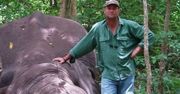 Latami zabijał słonie. Zginął przygnieciony przez jednego z nich