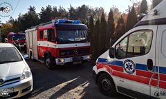 Łajski. Rój os zaatakował przedszkolaków