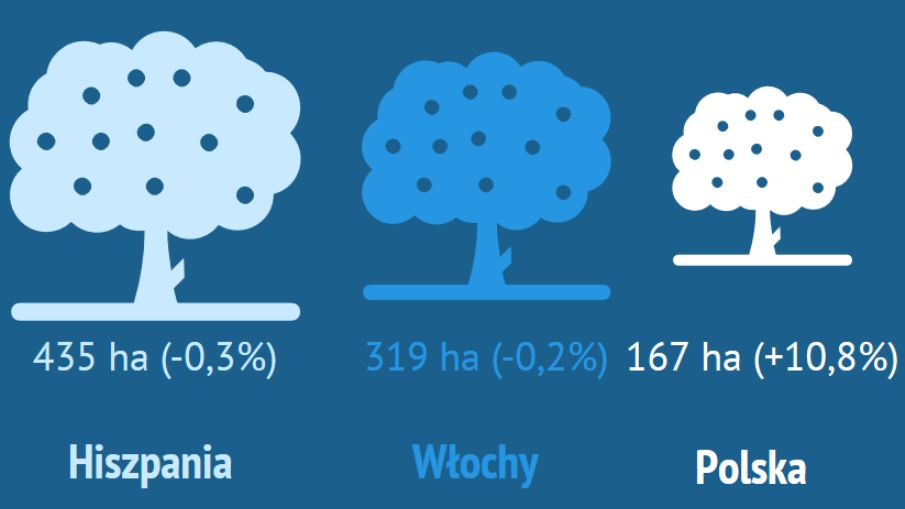 Coraz większy obszar Polski zajmują sady.