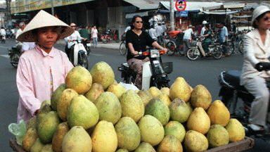 Cytrusy w walce z rakiem