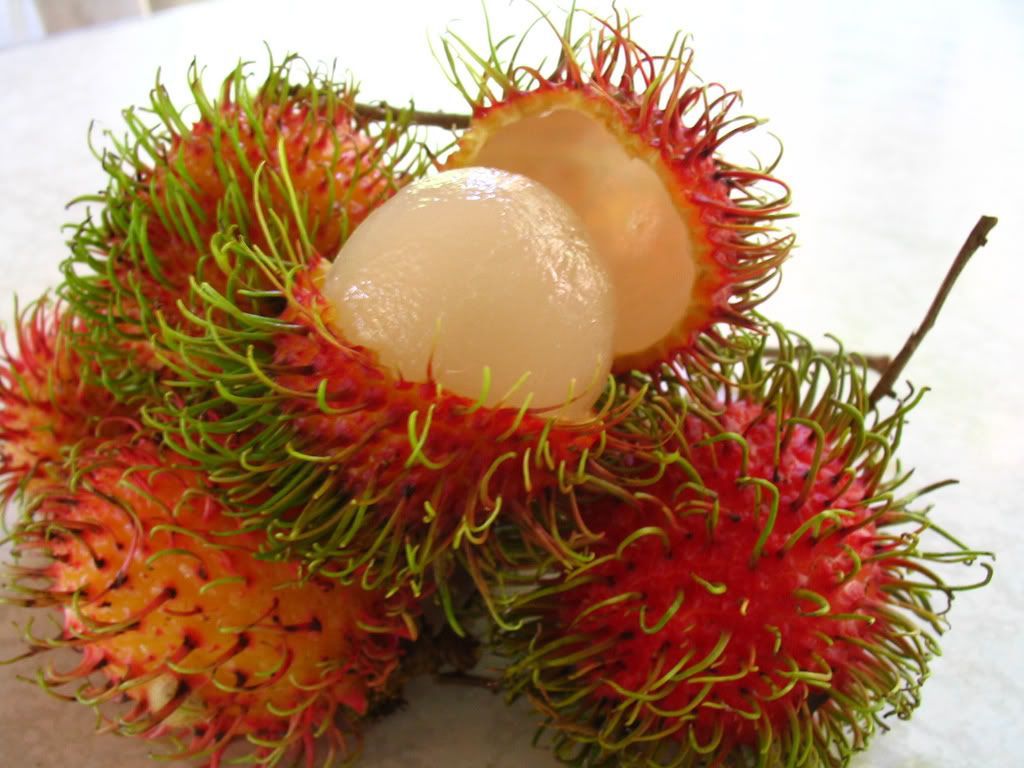 Rambutan