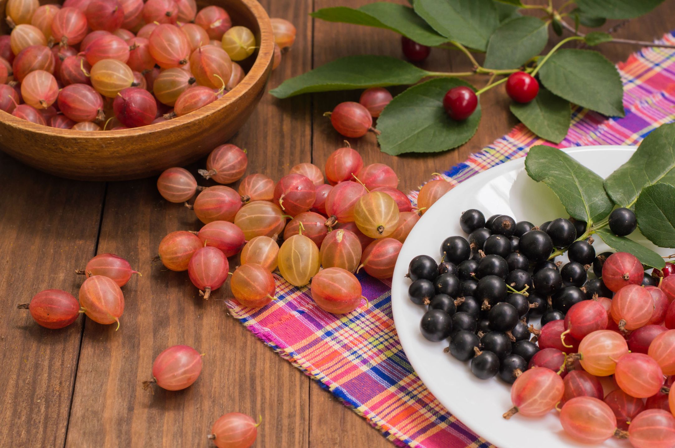 Aronia - zapomniany superowoc