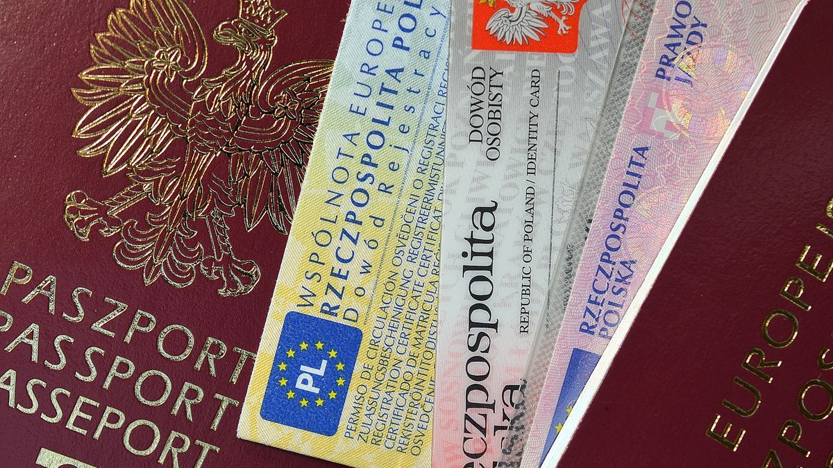 paszport, dowód rejestracyjny, prawo jazdy