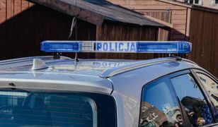 Kierowca radiowozu śmiertelnie potrącił psa i odjechał z miejsca zdarzenia