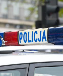 Tragedia w Katowicach. Ciało kobiety w stawie