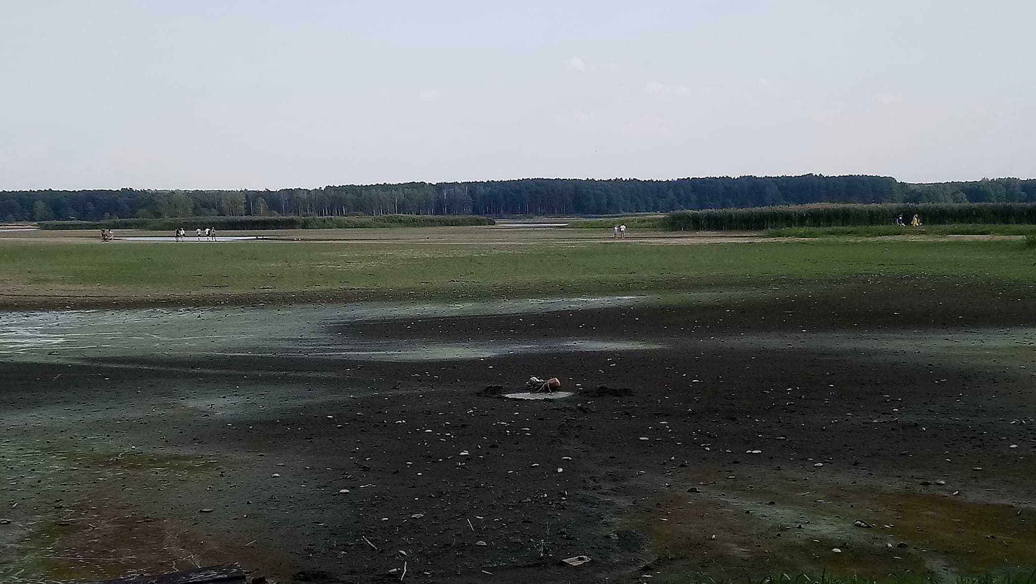 Odkryte dno Zalewu Sulejowskiego. 