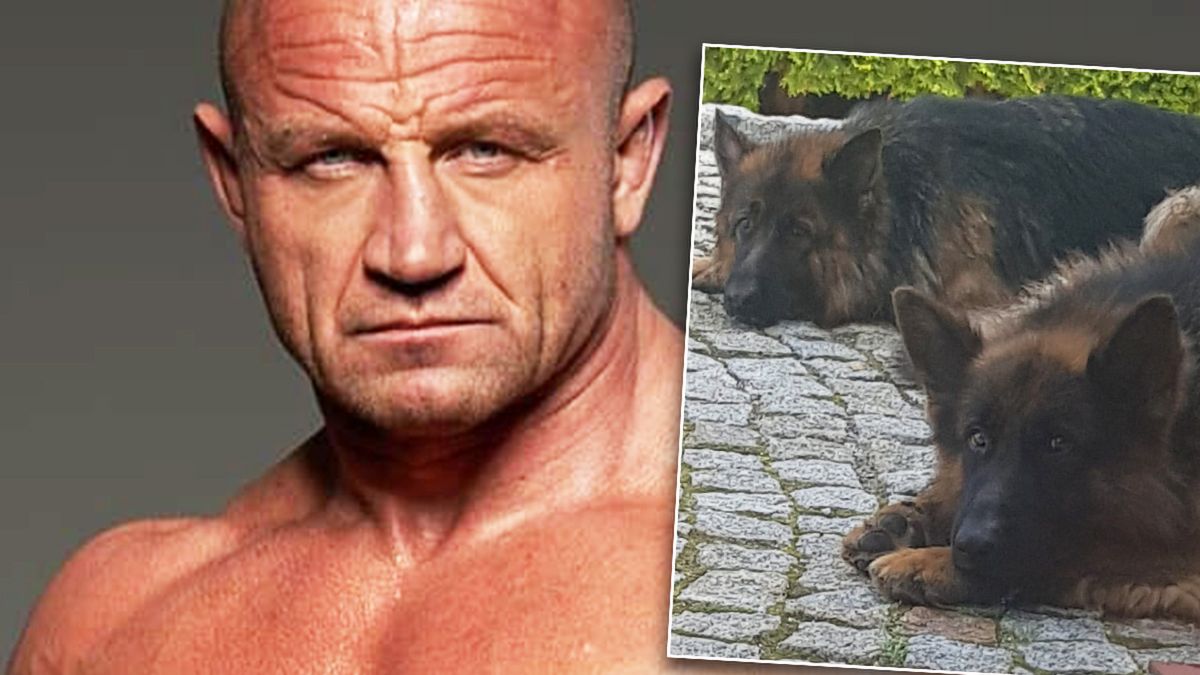 Mariusz Pudzianowski został pogryziony przez psa. Pokazał mocne zdjęcia