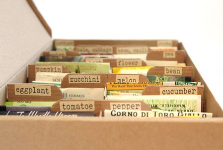 Seed Organization Box