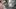 Unboxing The Last Guardian [PL] - Edycja Prasowa - VLOG!