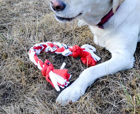 T-Shirt Dog Toy