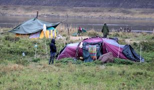 Kozy w Warszawie. Fatalny finał ekologicznego projektu. "Połowa stada nie żyje"