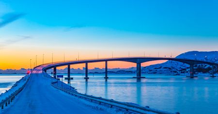 Norweski projekt okazał się być oszustwem. "Jest mi ogromnie przykro"