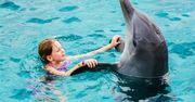 Nie będzie zabaw z delfinami. TripAdvisor chce chronić morskie ssaki